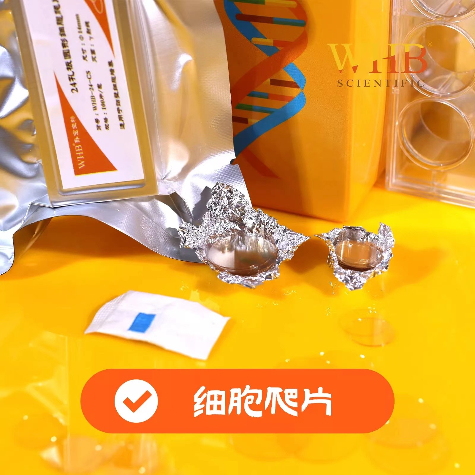 上海卧宏(WHB) 细胞爬片图3