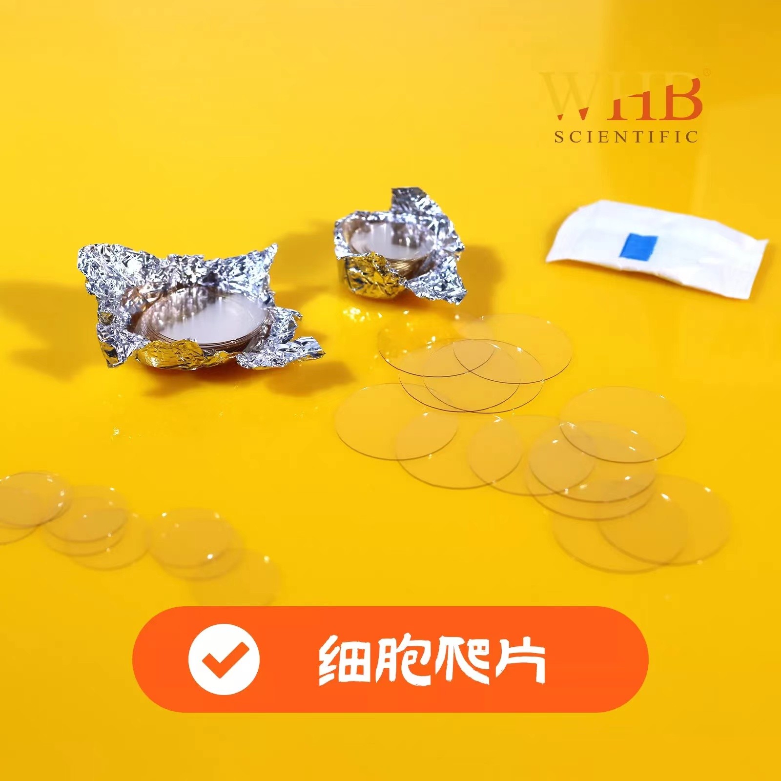 上海卧宏(WHB) 细胞爬片图4