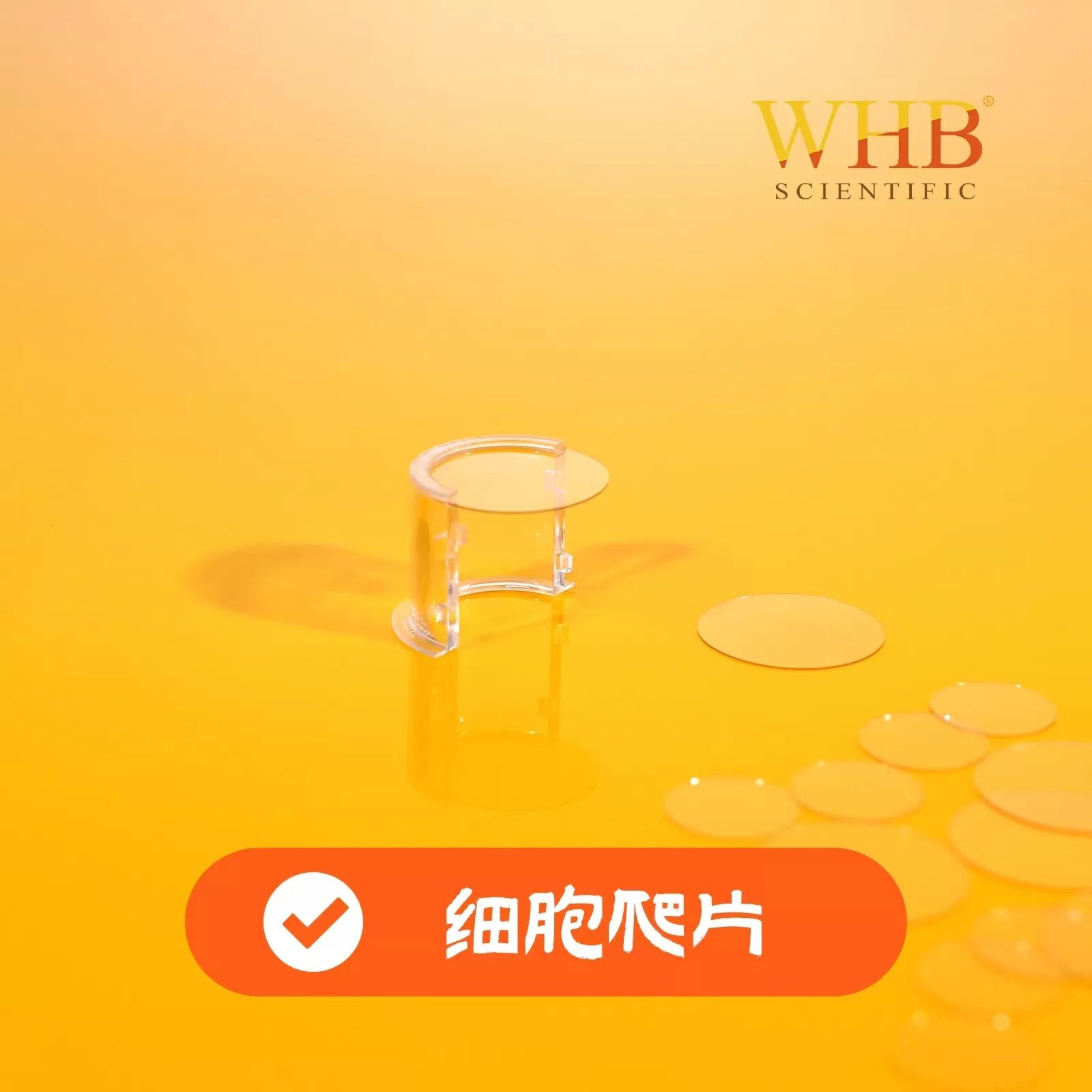 上海卧宏(WHB) 细胞爬片图6