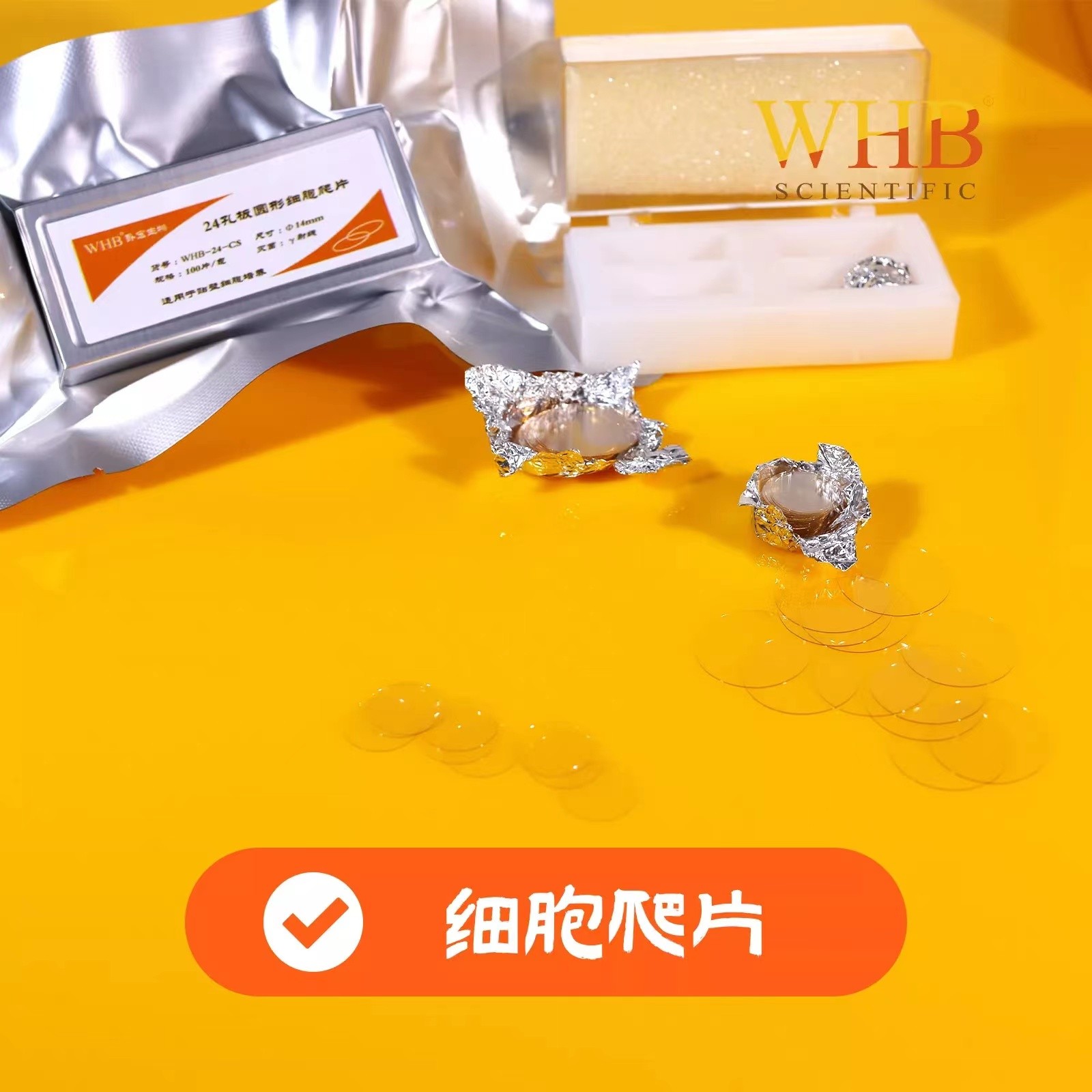 上海卧宏(WHB) 细胞爬片图5