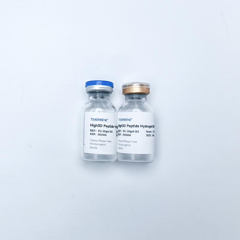 Tigergene 细胞培养水凝胶High3D Peptide Hydrogel图4