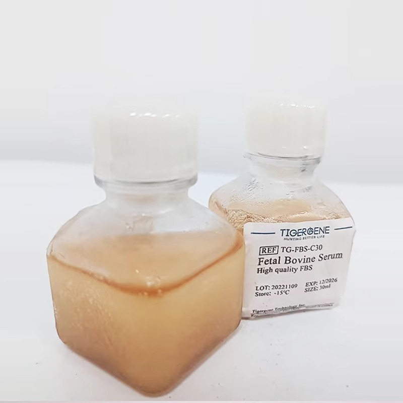 Tigergene 纯甄100%胎牛血清 30ml/瓶 TG-FBS-C30图3