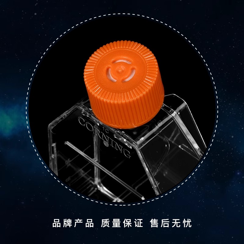 Corning康宁培养瓶 透气盖CellBIND表面图4