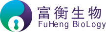 小鼠肺微血管内皮细胞图2