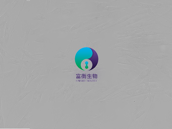 小鼠肺大静脉平滑肌细胞图2