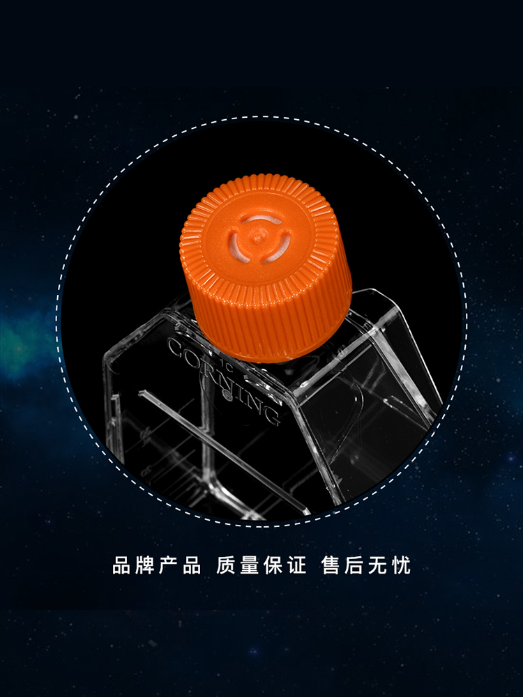 Corning康宁细胞培养瓶透气盖CellBIND表面灭菌3289 3290 3292图4