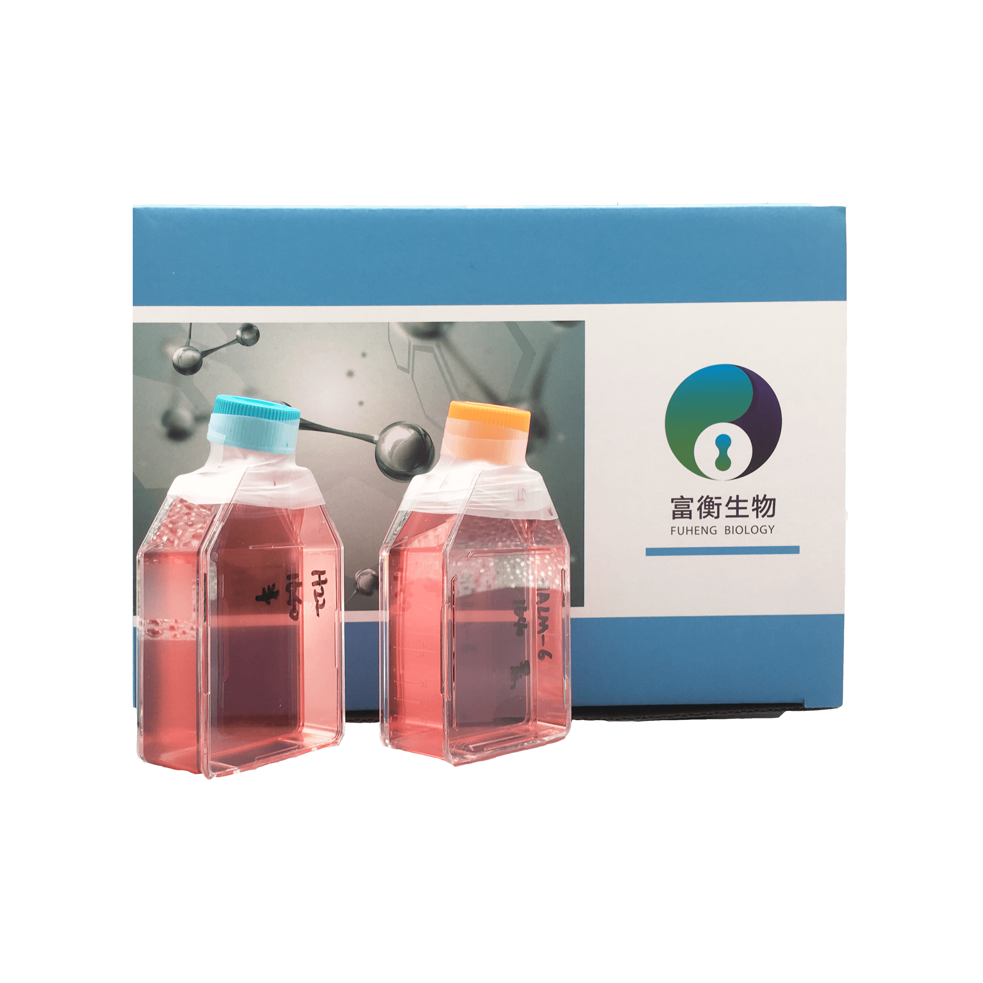 小鼠脑神经胶质母细胞瘤瘤株;G422 (种属鉴定)图3