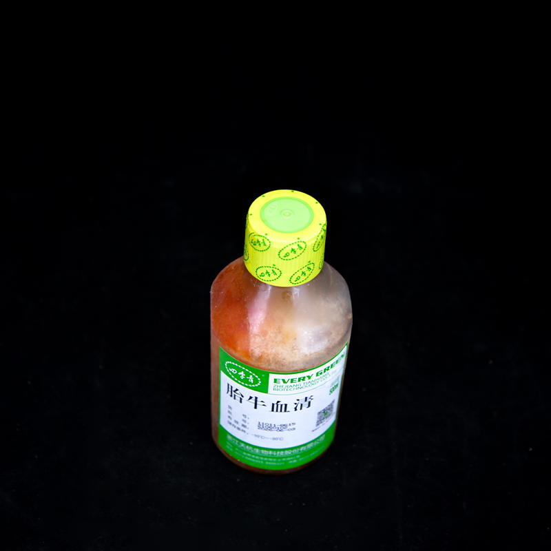 四季青 无噬菌体低内毒素优级胎牛血清100ml、500ml无噬菌体 11011-8611 、11011-8615图2
