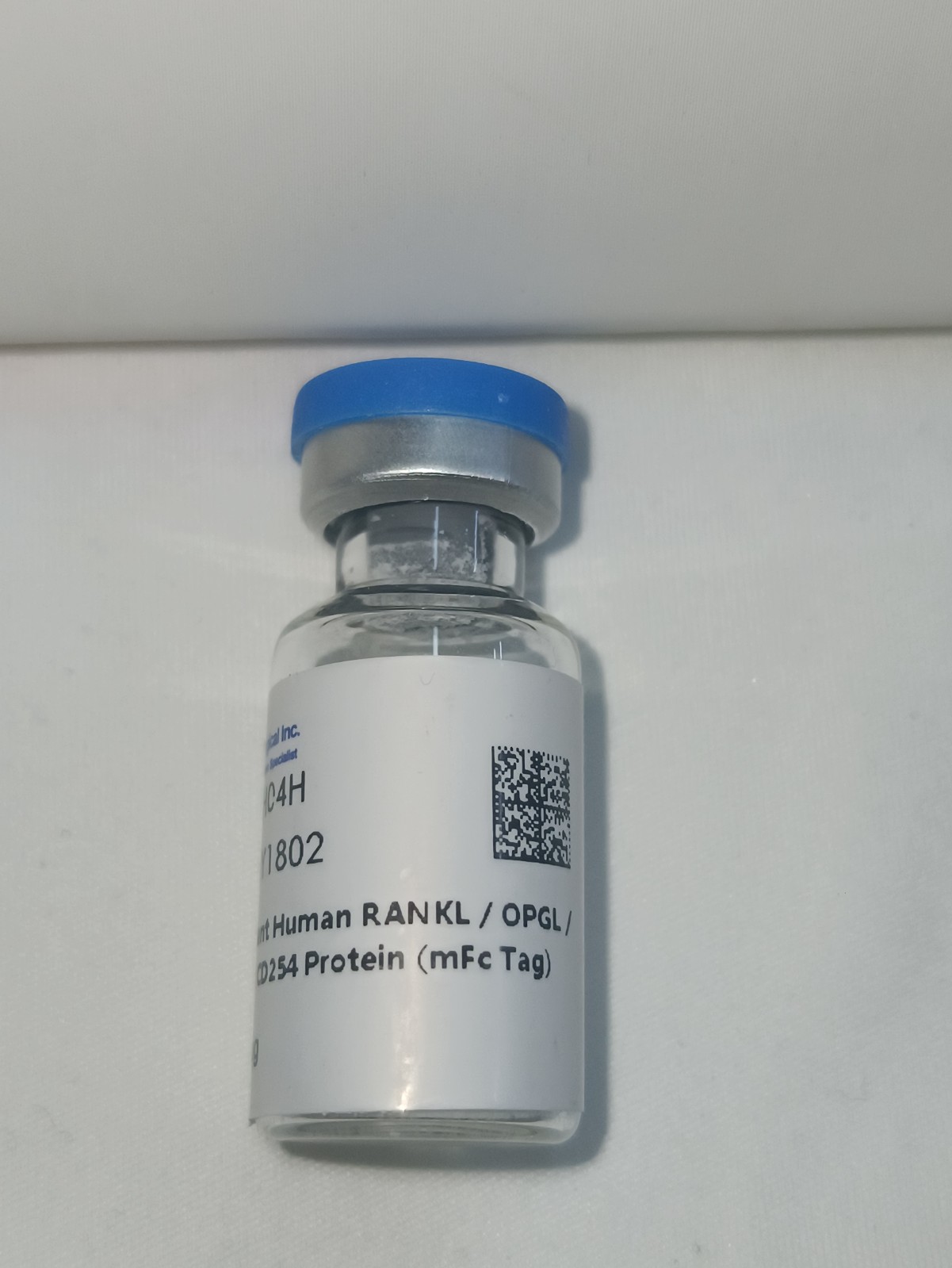 RANKL/OPGL/TNFSF11/CD254重组蛋白图2
