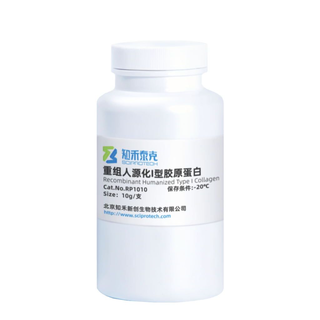 RP1010 重组人源化I型胶原蛋白 Recombinant Humanized Type I Collagen图2