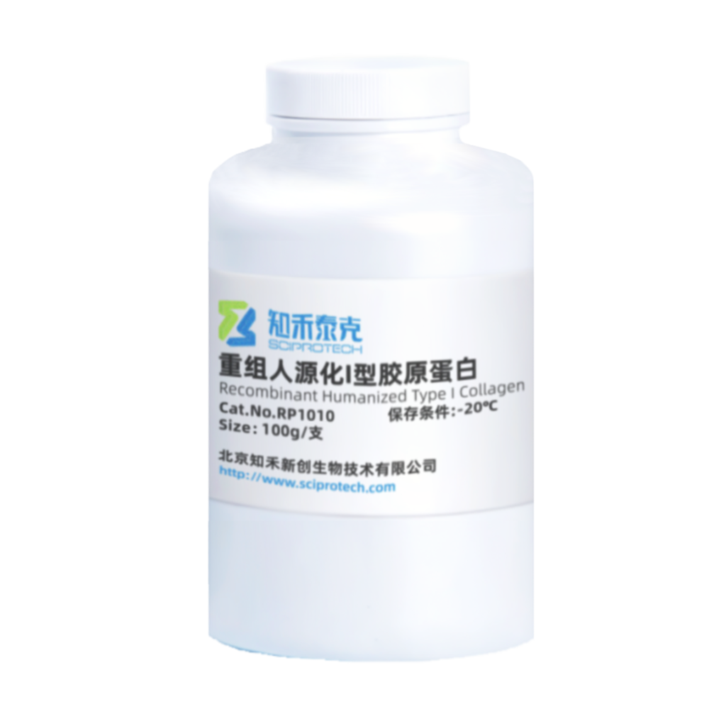 RP1010 重组人源化I型胶原蛋白 Recombinant Humanized Type I Collagen图3