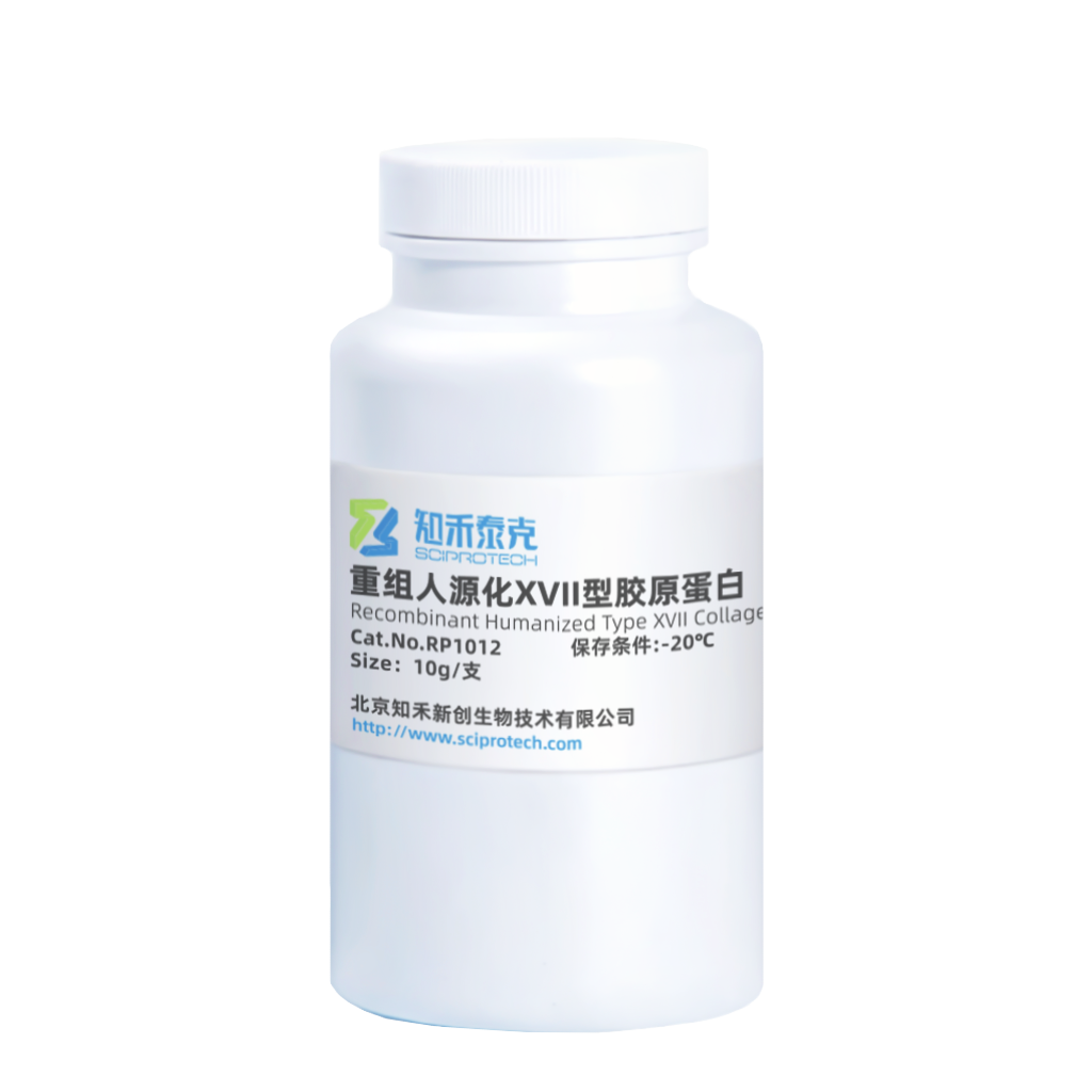 RP1012 重组人源化XVII型胶原蛋白 Recombinant Humanized Type XVII Collagen图2