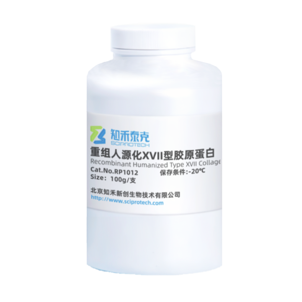 RP1012 重组人源化XVII型胶原蛋白 Recombinant Humanized Type XVII Collagen图3